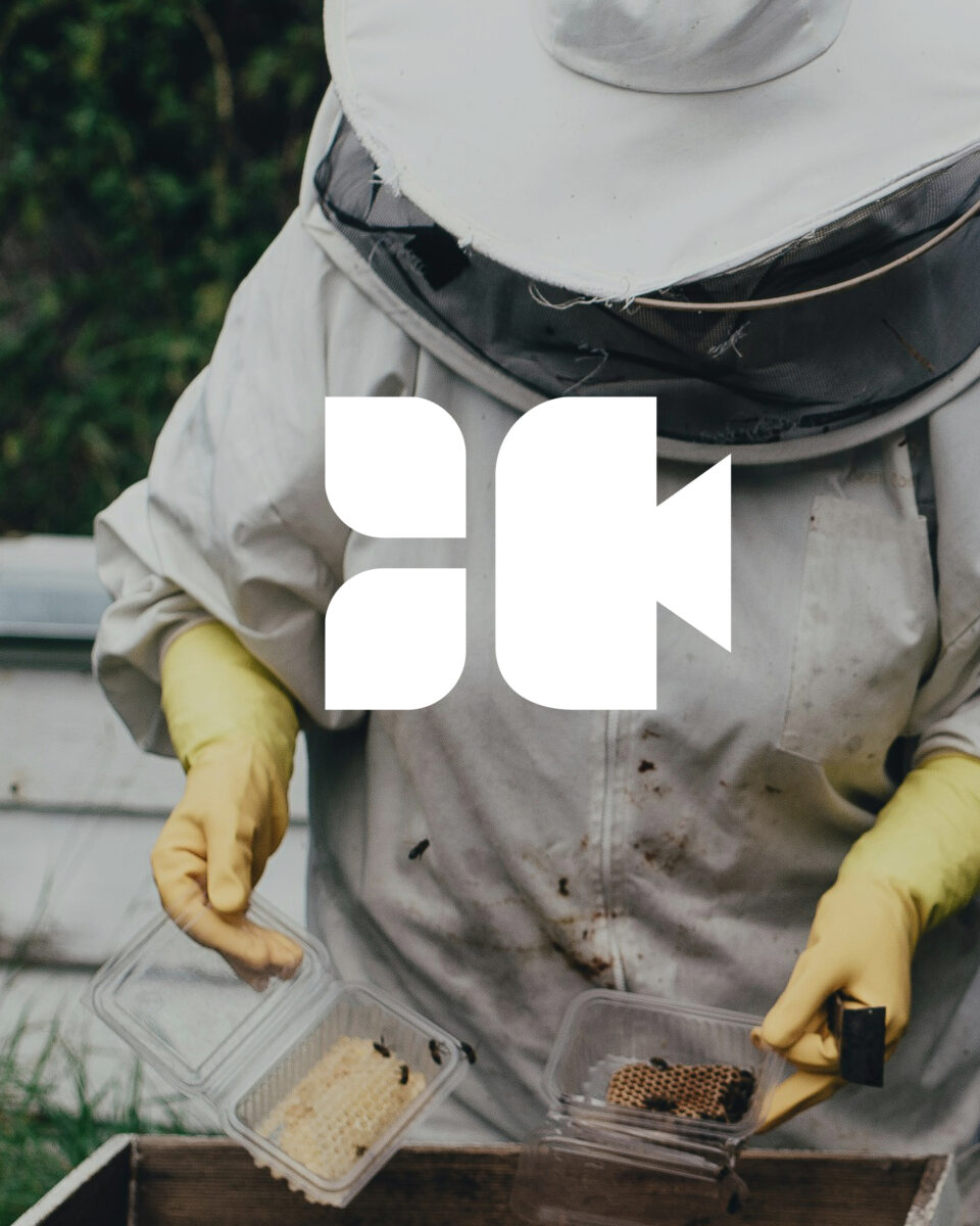 Hannah-Lauer-greenmotions-13